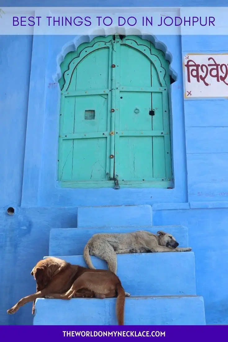 Best Things To Do in Jodhpur, India