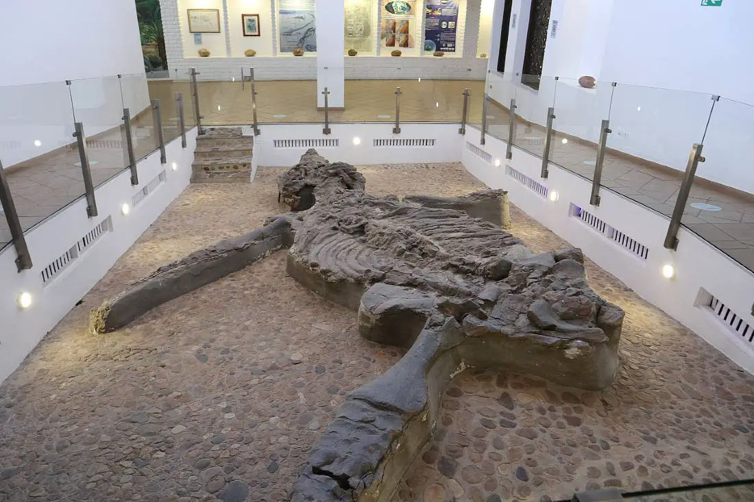 El Fosil in Villa de Leyva