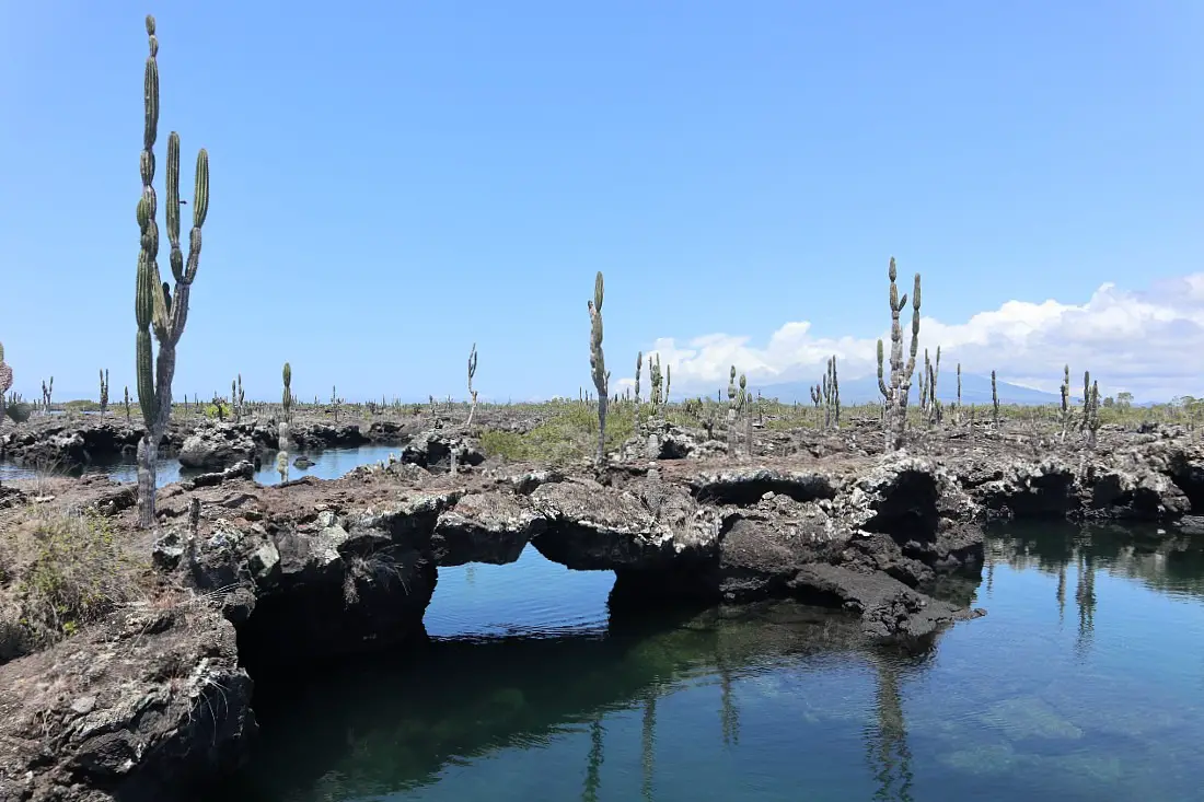 Los Tuneles is one of the must sees on a Galapagos Islands holiday