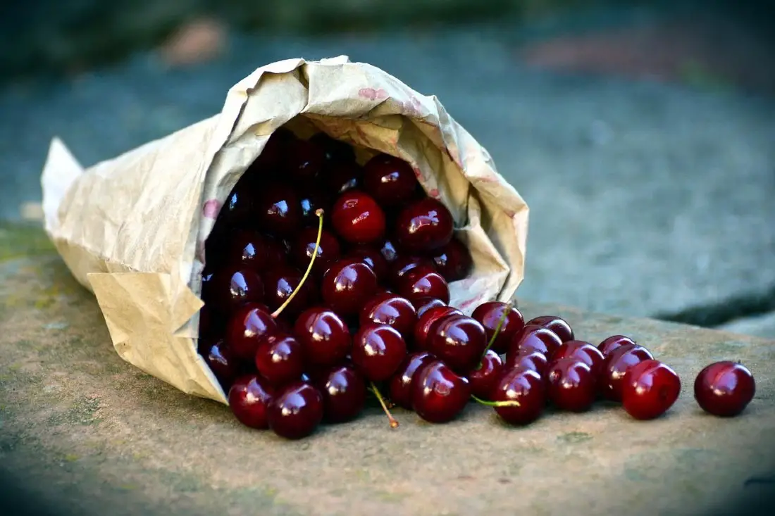 One of the best things to do in Door County is try the local cherries