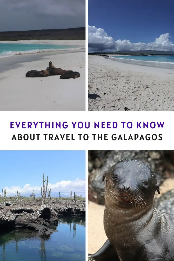 Everything You Need To Know About Planning Your Galapagos Islands Holiday
