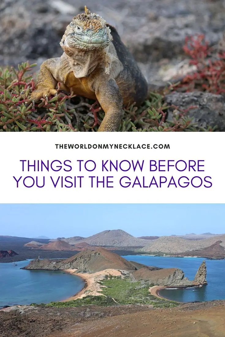Things to Know Before You Visit the Galapagos