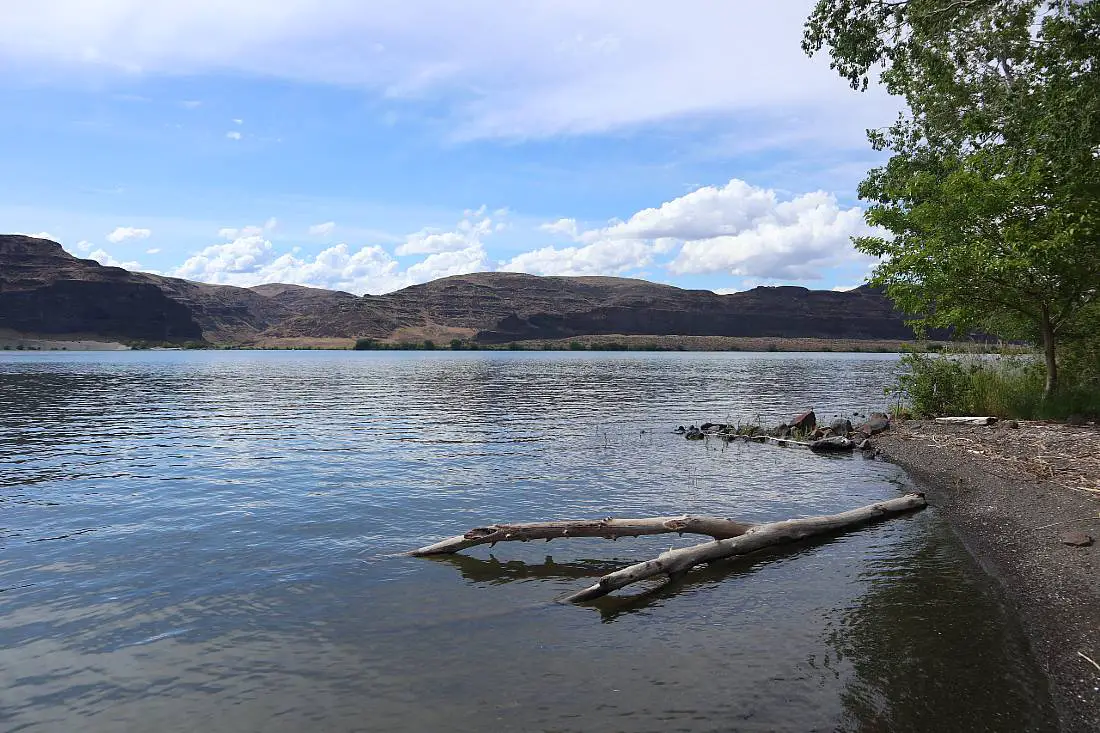 Swimming in the Columbia River is one of the fun things to do near the Gorge Amphitheater