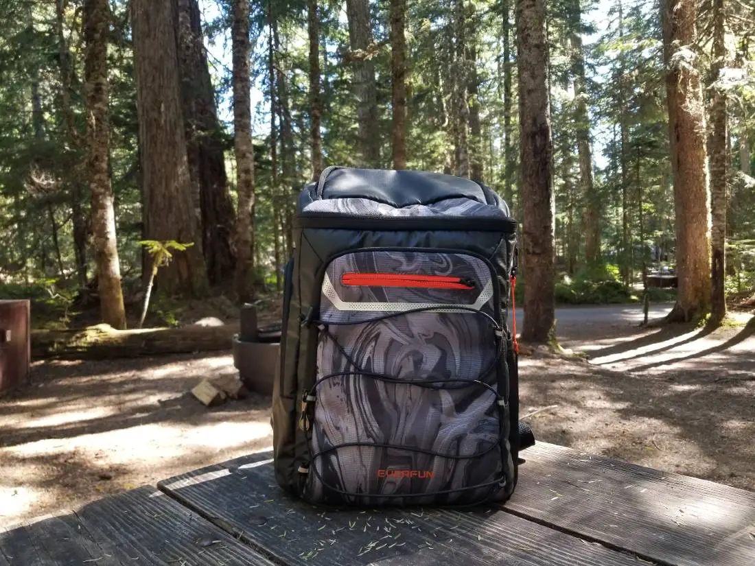 Everfun Cooler Backpack