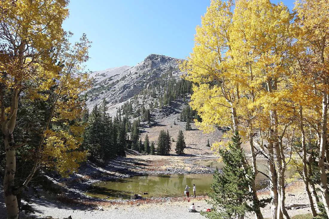 Fall colors in Great Basin National Park