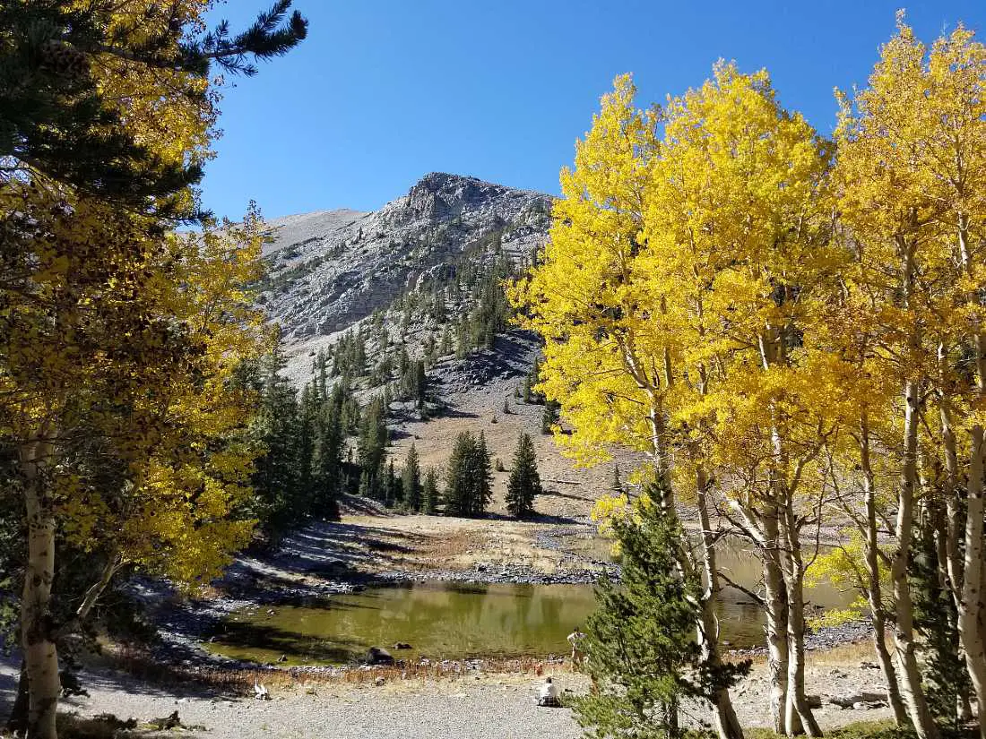 Fall colors Alpine Lakes