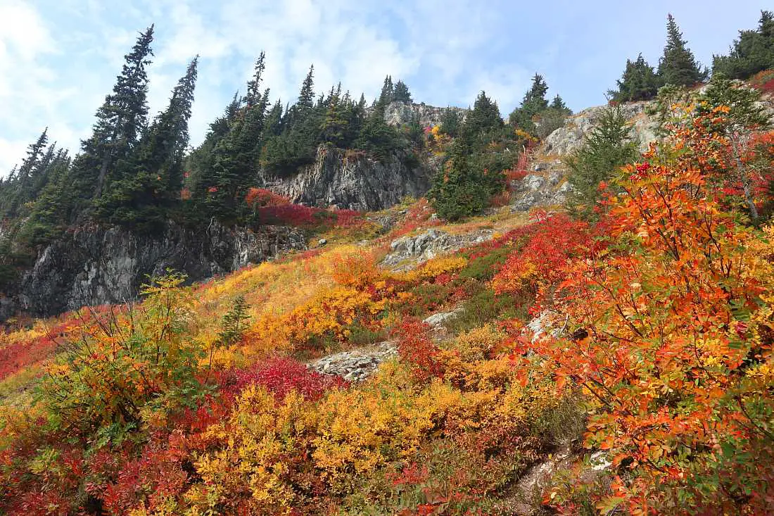 Fall colors Maple Pass