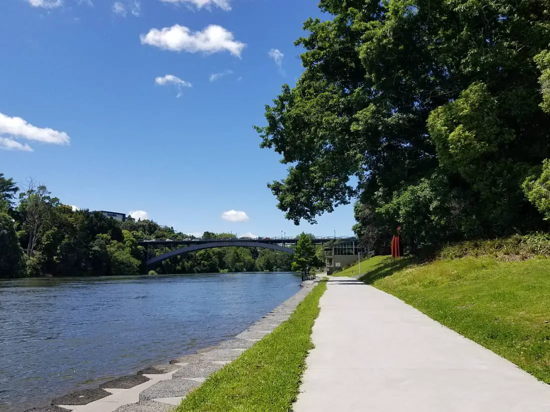 Walking along the Waikato River is one of my favorite things to do in Hamilton New Zealand