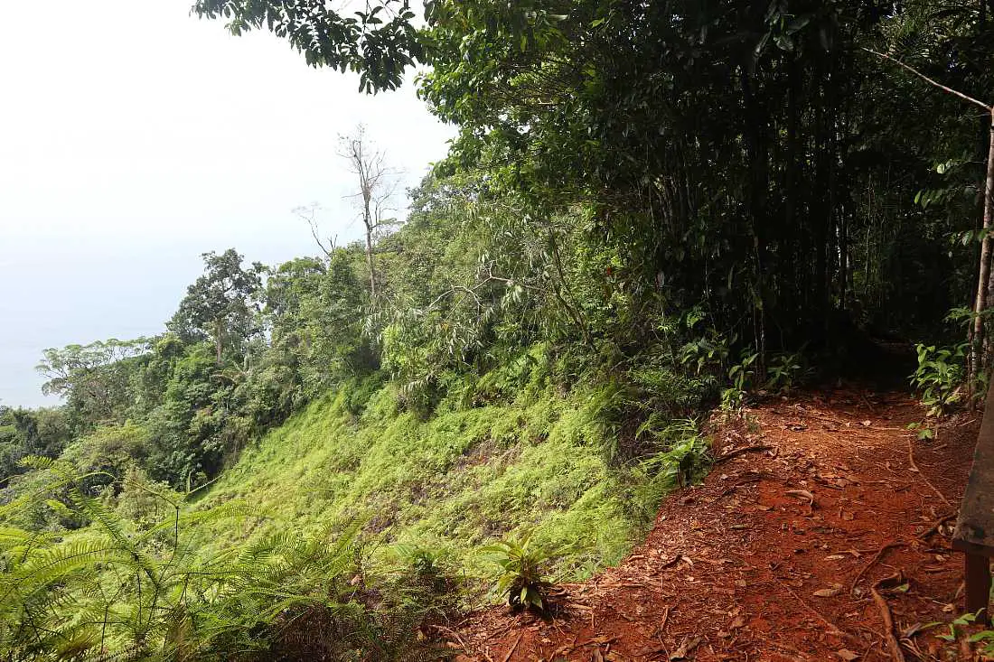 El Valle jungle hike