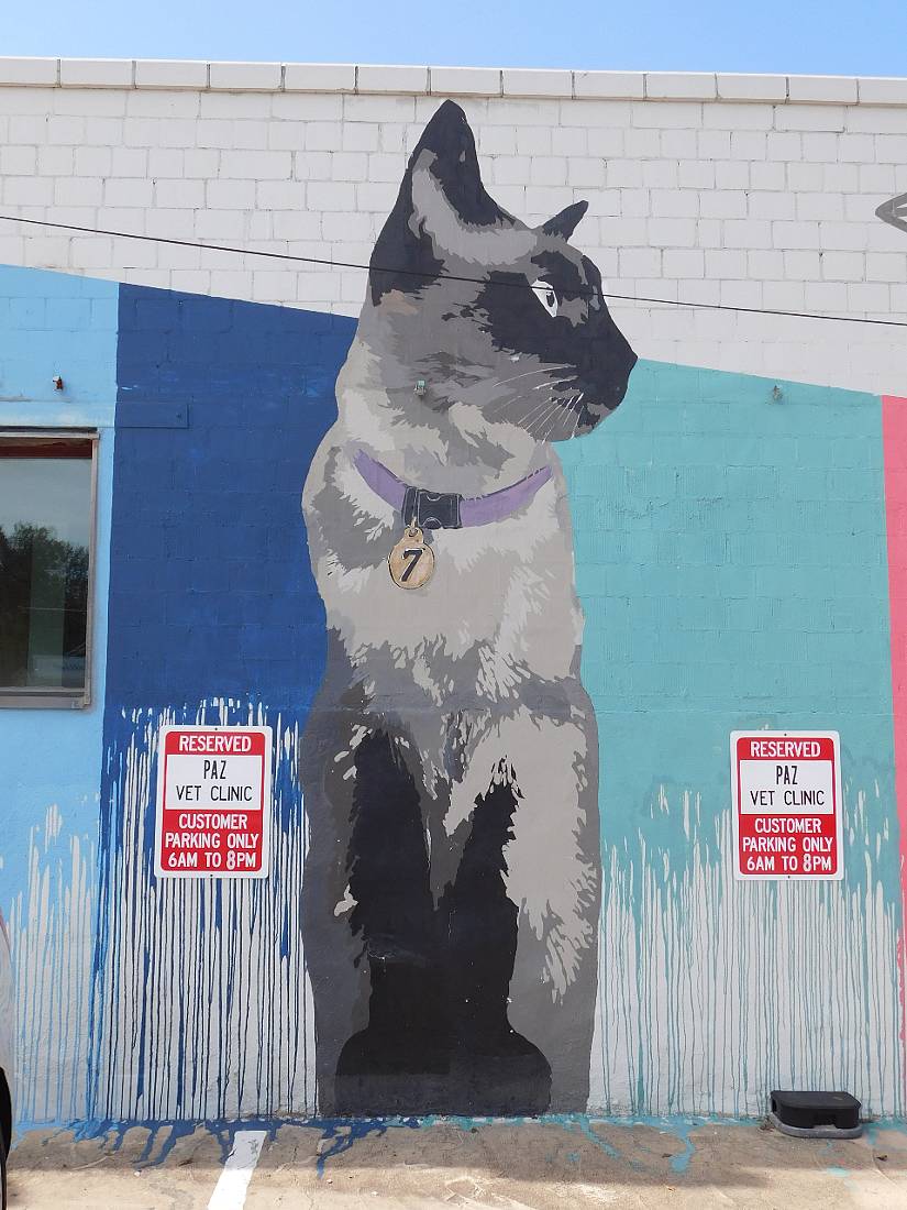 Cat mural Austin