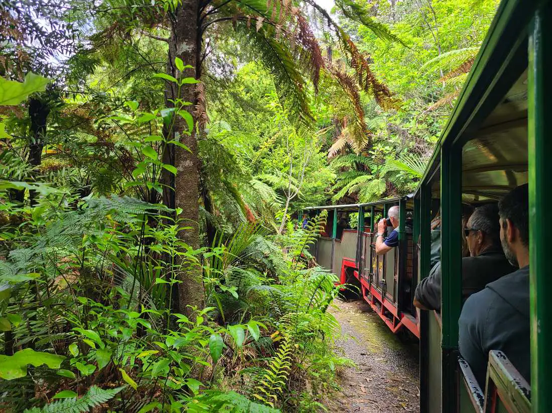 One of the top things to do in Coromandel Town is to take a train ride at the Driving Creek Railway
