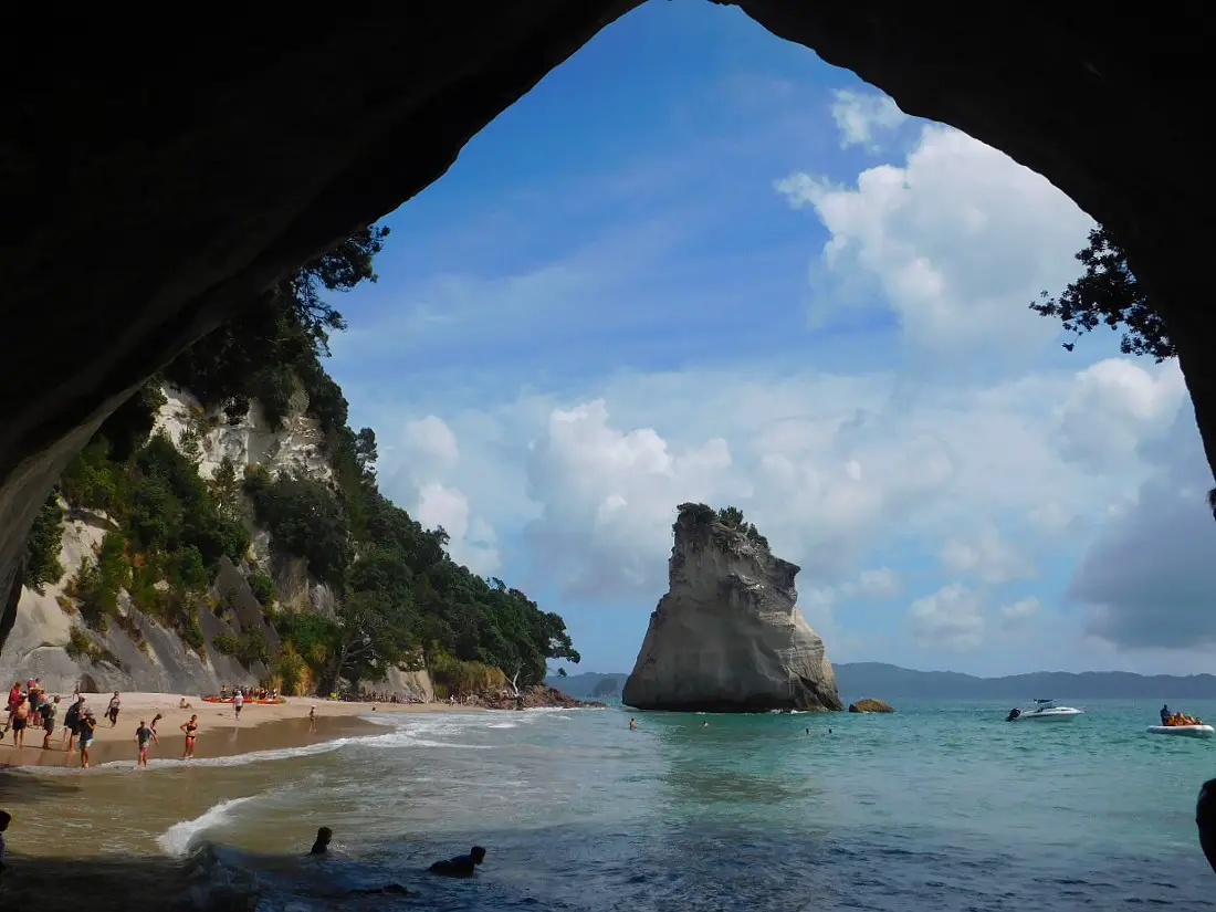 Cathedral Cove is one of the best things to do in Coromandel