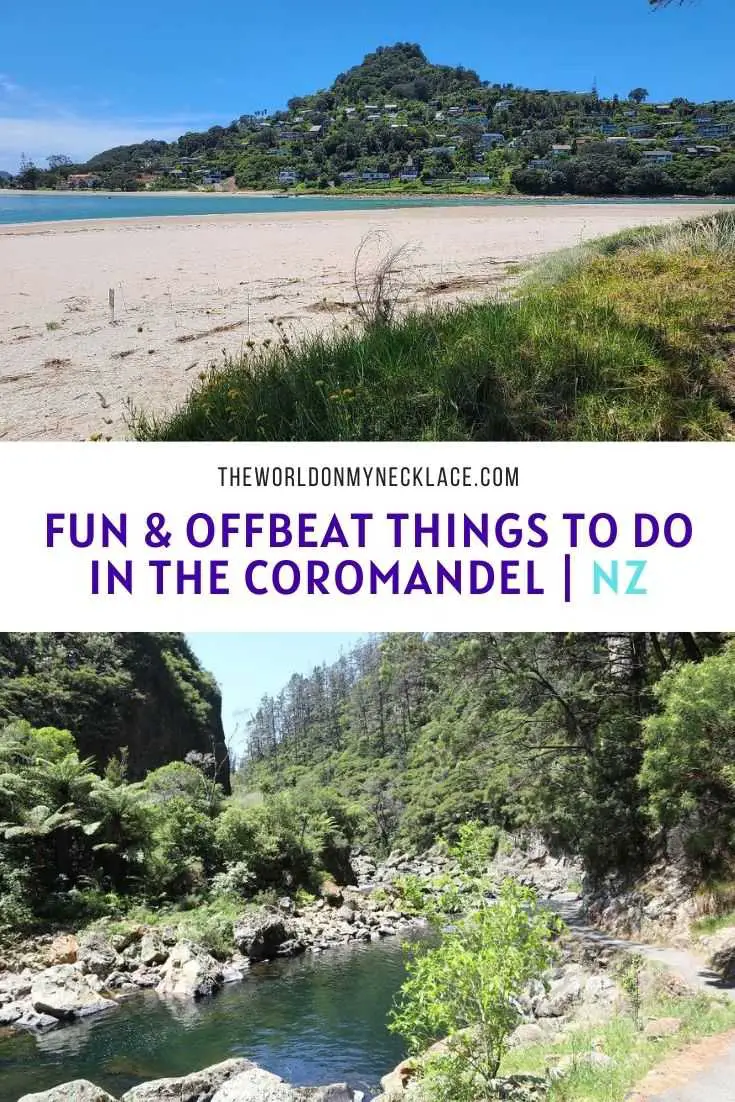 Fun & Offbeat Things To Do in Coromandel