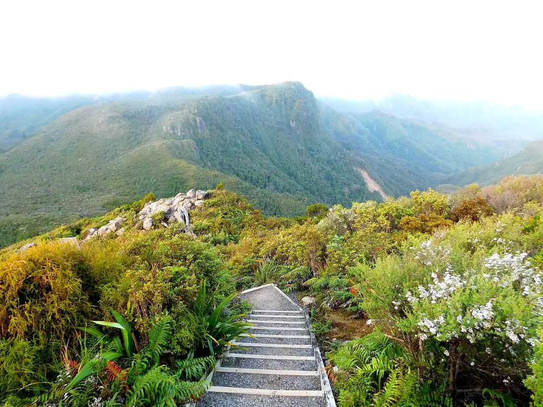 Hiking the Pinnacles is one of the top things to do in Coromandel