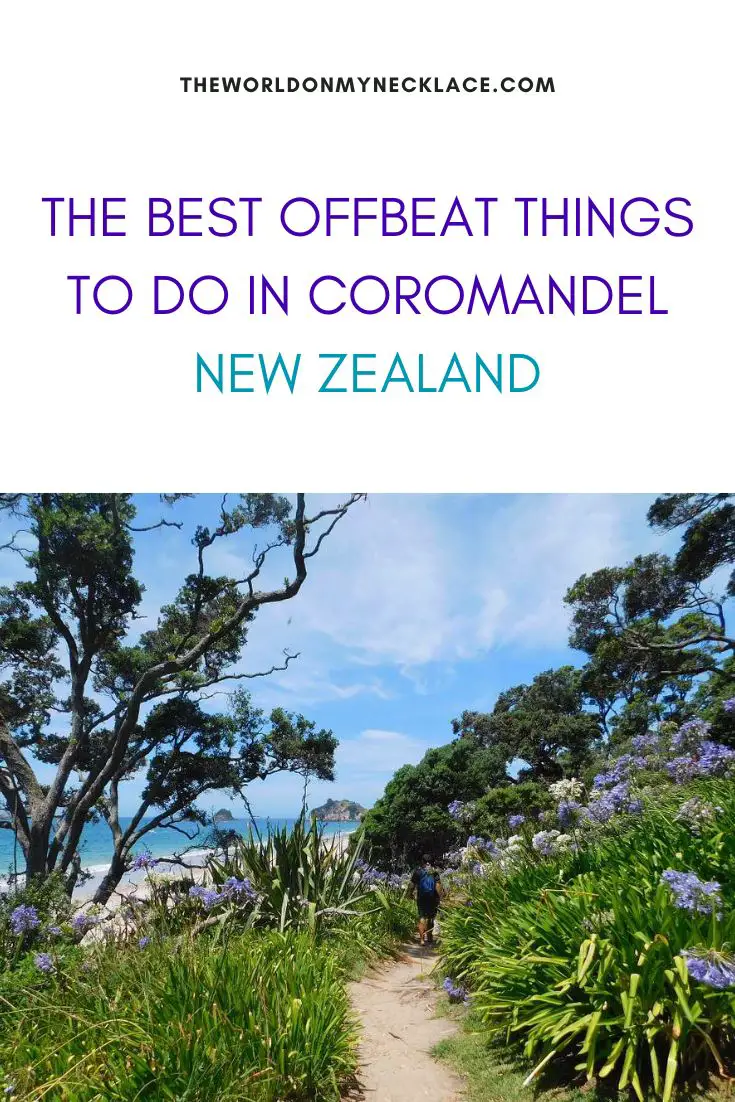The Best Offbeat Things To Do in Coromandel